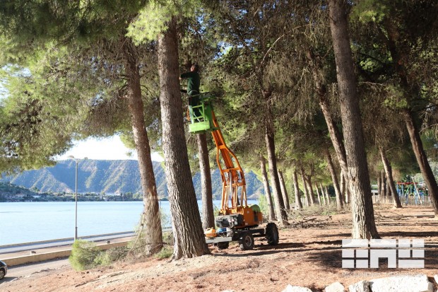 Tareas saneamiento pinos